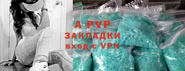 стафф Алексин