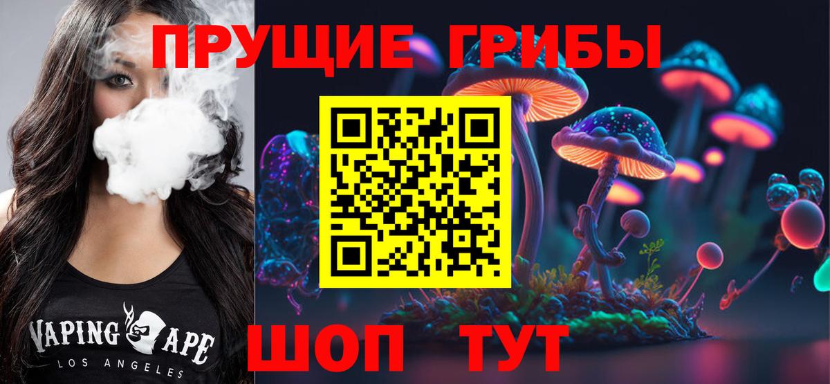 Псилоцибиновые грибы Psilocybine cubensis  Вход с VPN  Кимры  Псилоцибиновые грибы мицелий 
