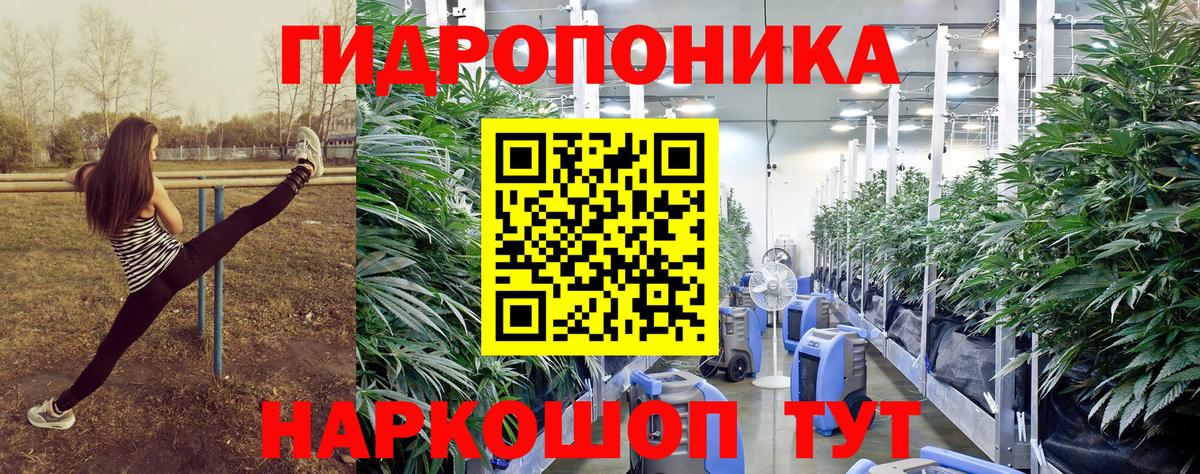 Кимры  Каннабис OG Kush  Вход с VPN  Шишки марихуана SATIVA & INDICA 